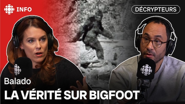 Au balado des Décrypteurs, Marie-Pier Élie raconte les dessous d'une nouvelle étude concernant les apparitions du Bigfoot. Alexis est estomaqué. 
