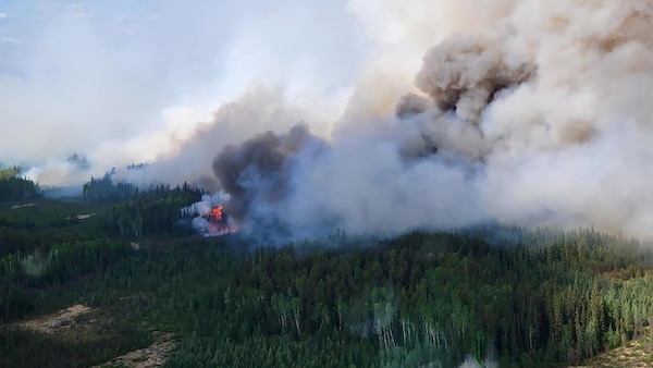 Un panache de fumée s'élève d'un gigantesque feu de forêt.