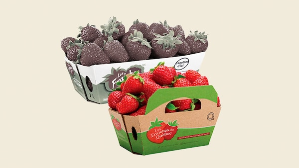Deux casseaux de fraises.