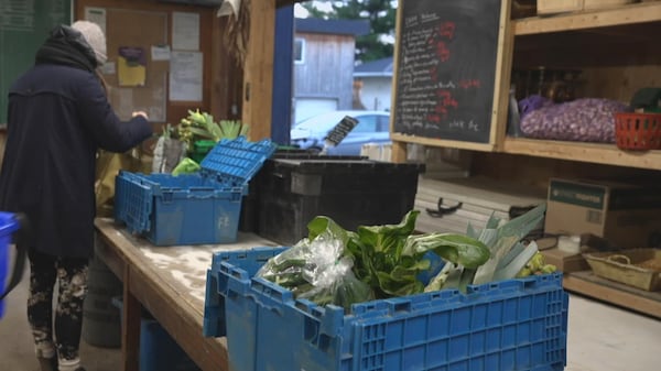 Une cliente choisi les légumes pour son panier.