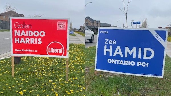 Des pancartes électorales sur la pelouse.
