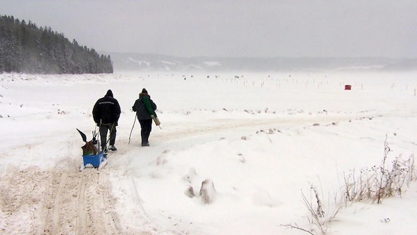 Un couple de pêcheurs se dirigent vers les glaces avec leur matériel.