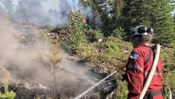 Un pompier forestier arrose un feu de forêt.