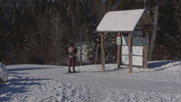 Une femme observe la carte d'un centre de ski de fond, l'hiver.