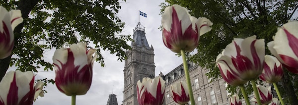Des fleurs devant l'édifice du Parlement, à Québec. 