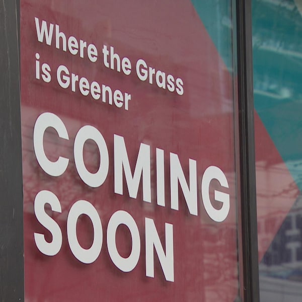 Une grande affiche rouge, collée dans une vitrine, qui indique qu'un magasin de cannabis sera bientôt ouvert à cet endroit.