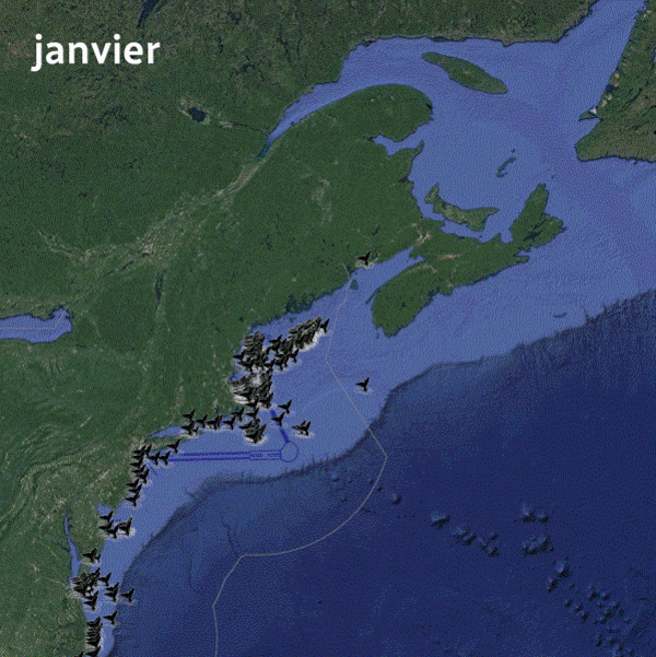 Carte illustrant le déplacement des baleines