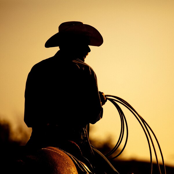 Un cowboy sur un cheval. 
