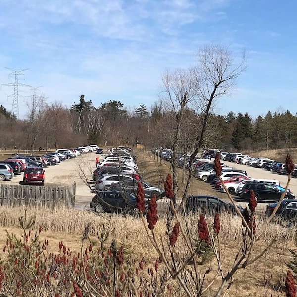 Des dizaines de véhicules dans un parc