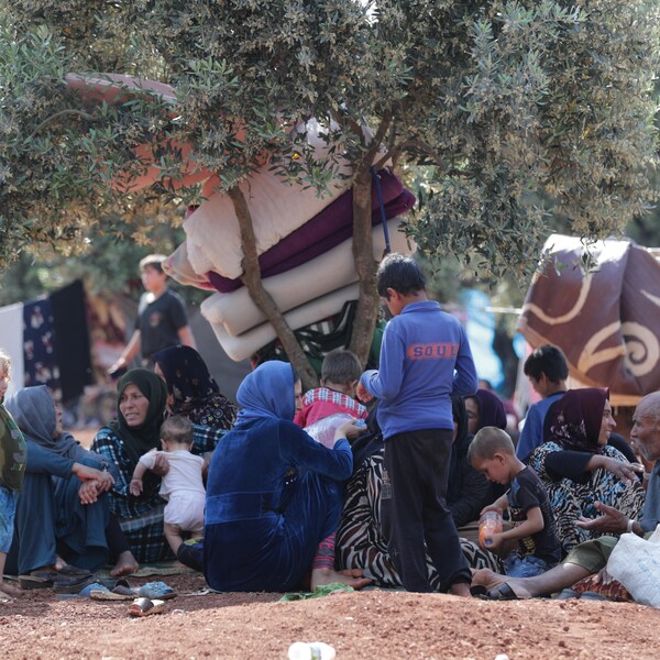 Des Syriens déplacés assis ensemble dans une oliveraie de la ville d'Atmeh, province d'Idlib.