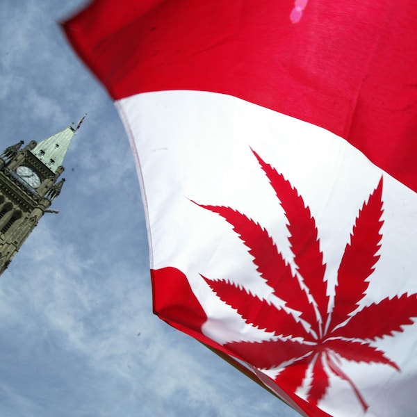 La feuille d'érable du drapeau canadien est remplacée par un plant de cannabis, avec en arrière-plan, l'édifice principal du gouvernement fédéral.