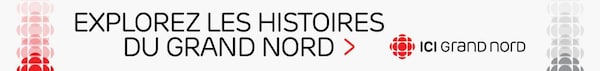 Banner ad with text: Great North, Explore the stories of the Great North here