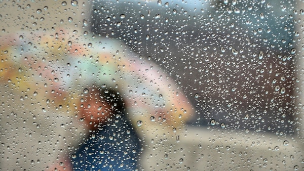 Des gouttes de pluie recouvrent une vitre. 