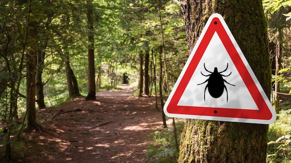 Un panneau de signalisation avec une tique dessus dans une forêt pour mettre en garde la population. 