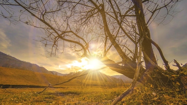 un paysage.