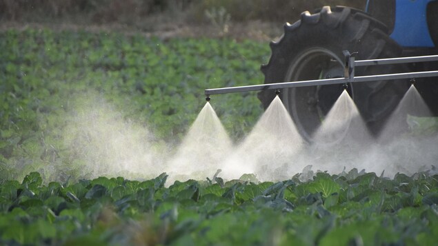 rencontre milieu agricole