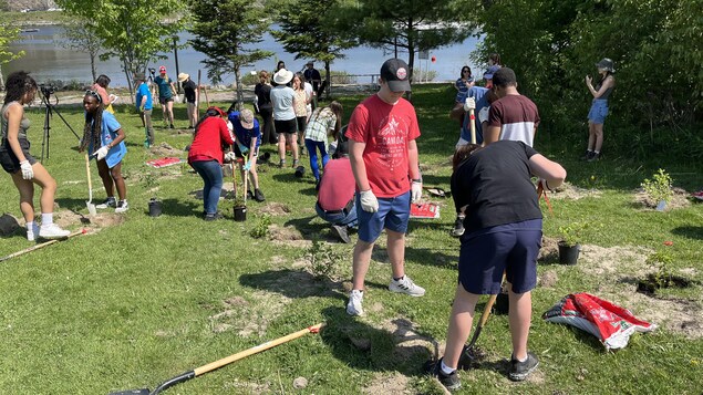 Des élèves plantent des arbres au bord du lac Ramsay.