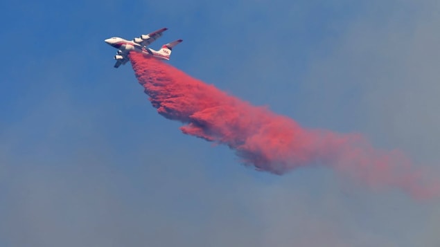 Feu de forêt : alertes et état d’urgence à Squamish image