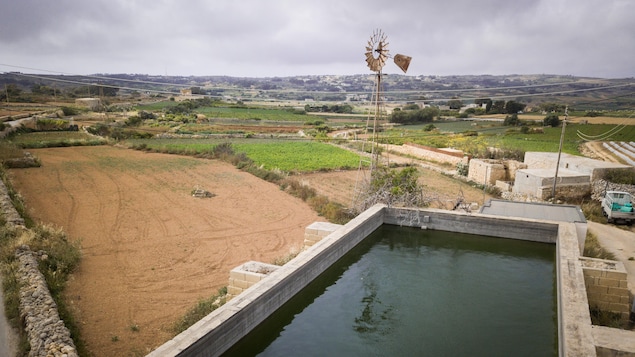 Sécheresse et manque d'eau potable : dessaler l'eau de mer, une solution  viable ?