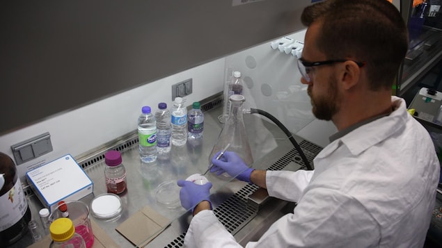 Sous une hotte de laboratoire, un scientifique portant des gants de latex et un sarrau manipule un filtre avec des pinces. Il mène une expérience par rapport à des bouteilles d'eau de marques populaires, visibles sur son plan de travail avec d'autres équipements de laboratoire.