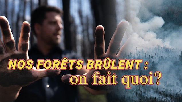 Une image d'homme dans la forêt avec le titre : Nos forêt brûlent : on fait quoi?
