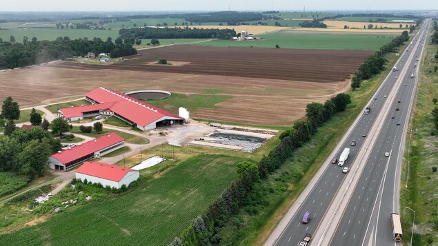Des acteurs de l’industrie agricole déplorent les défis du secteur en Ontario Des acteurs de l’industrie agricole déplorent les défis du secteur en Ontario