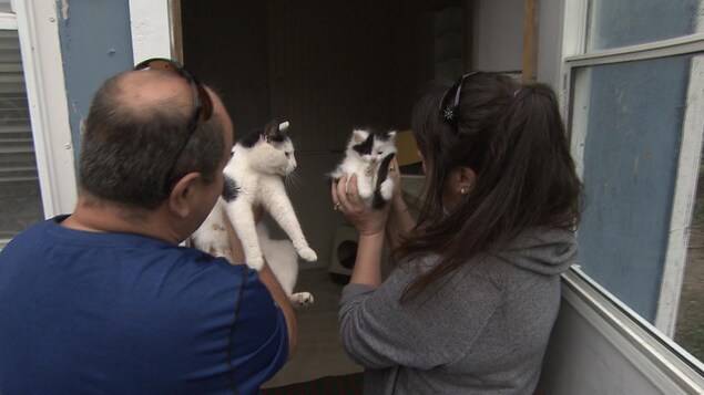 puma sortie visite de chat