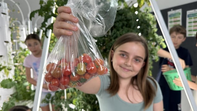 Une jeune fille tient un sac de tomates.