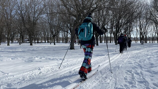 Des élèves vus de dos qui font du ski.