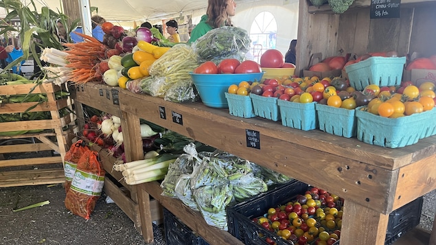 La pénurie de main-d’œuvre se fait ressentir chez les producteurs maraîchers La pénurie de main-d’œuvre se fait ressentir chez les producteurs maraîchers