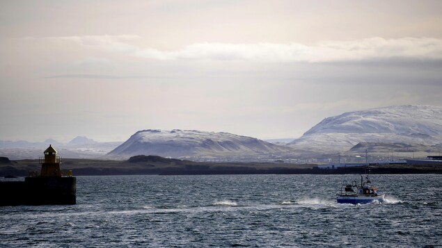 Un bateau de pêche quitte le port de Reykjavik