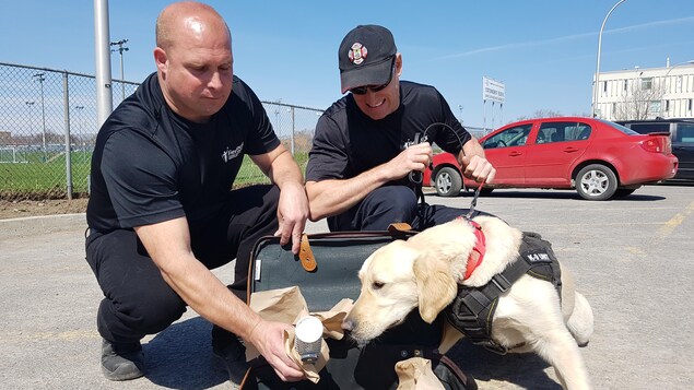 Des maîtres-chiens formés à Québec | Sommet du G7 | ICI Des maîtres-chiens formés à Québec | Sommet du G7 | ICI
