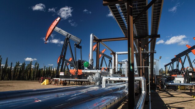 Des stations de pompage de pétrole.