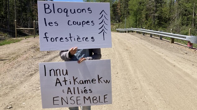 Chemin forestier bloqué : Groupe Lignarex prêt à négocier avec le Collectif Mashk Assi