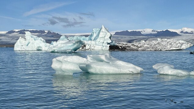 D'énormes blocs de glace flottent sur l'eau.