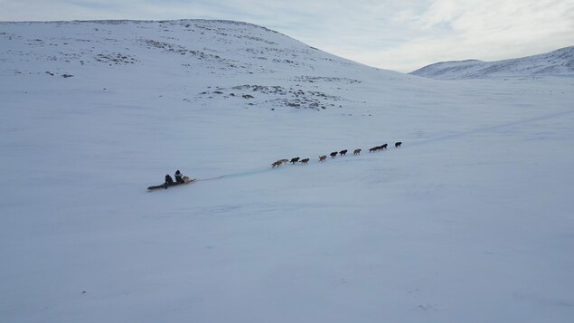 Les meneurs de chiens du Nunavik à la conquête d’Ivakkak