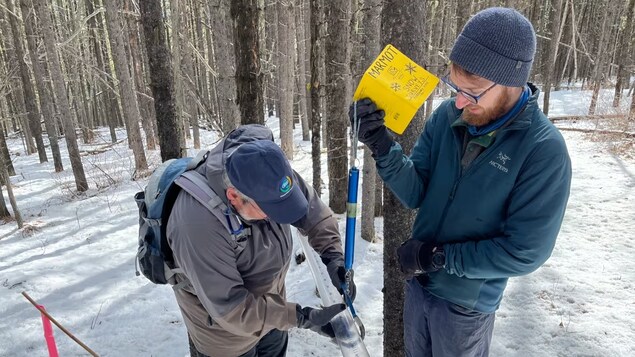 Pénurie d’eau, feux de forêt… ce que pourrait impliquer un hiver sec dans les Rocheuses Pénurie d’eau, feux de forêt… ce que pourrait impliquer un hiver sec dans les Rocheuses