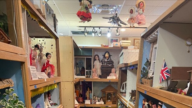 Des poupées exposées sur des étagères.
