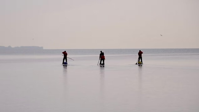 Ils traversent le lac Ontario en planche à pagaie pour protéger les Grands Lacs