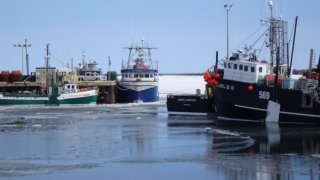 Crabe des neiges : les préparatifs vont bon train, les pêcheurs du N.-B. sont optimistes