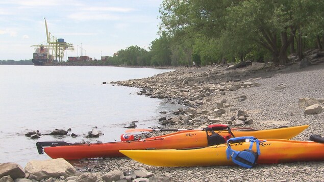 Une plage avec deux kayaks sur le rivage Une plage avec deux kayaks sur le rivage