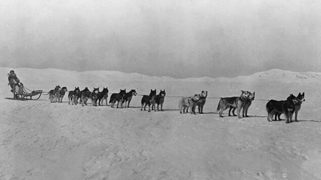 La Conquête Du Pôle Nord Une Aventure De Plusieurs Siècles - 