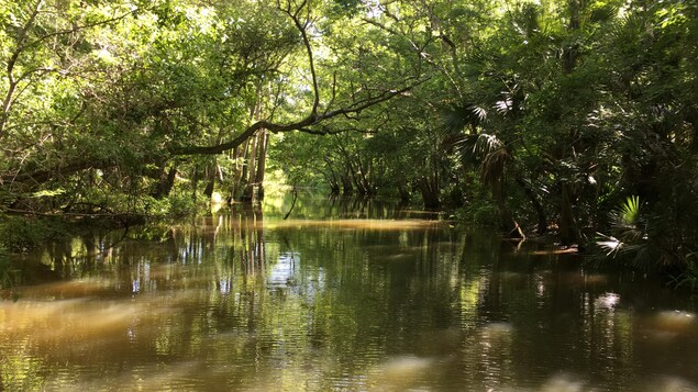 La rivière