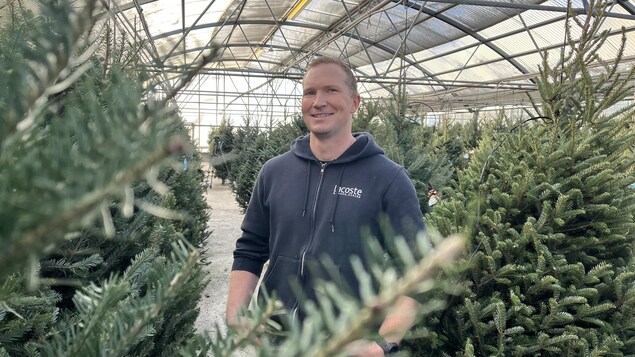 La course aux sapins de Noël naturels est lancée au Manitoba sur fond de pénurie La course aux sapins de Noël naturels est lancée au Manitoba sur fond de pénurie