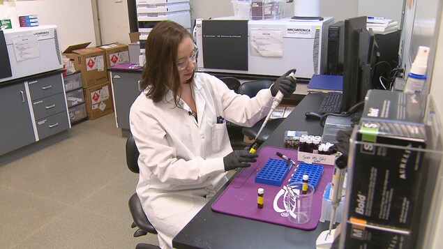 Tester les eaux usées pour éviter des surdoses aux opioïdes en Alberta