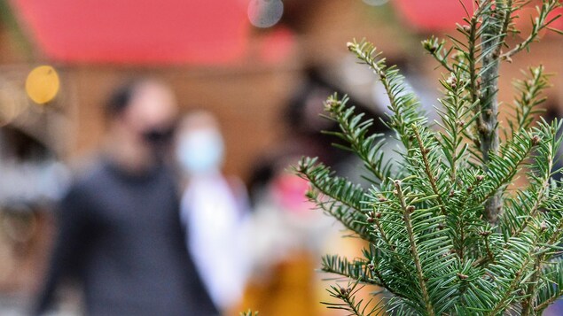 Une branche d'arbre de Noël et des gens qui portent un masque à l'arrière-plan.