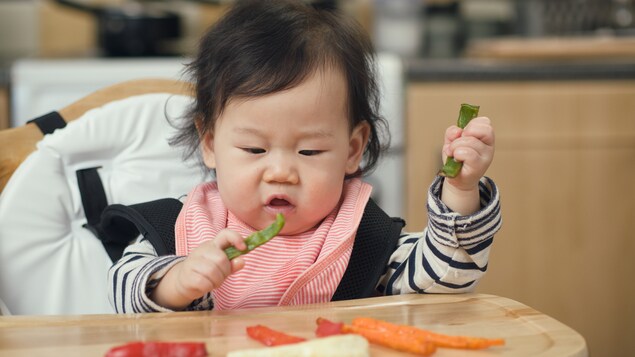 Un bébé asiatique mange des aliments solides sur sa chaise haute.