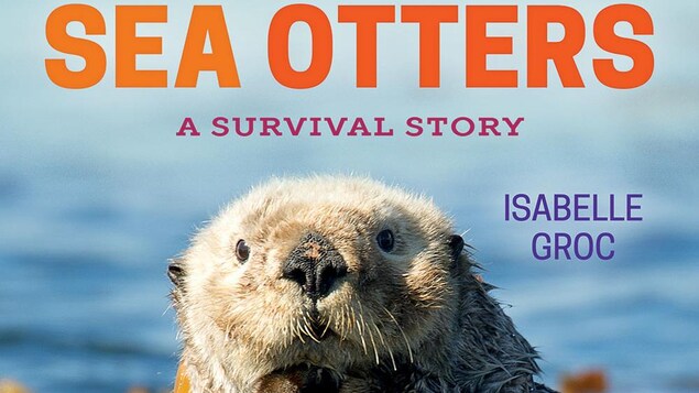 une loutre portant de l'algue marine, en couverture du livre.