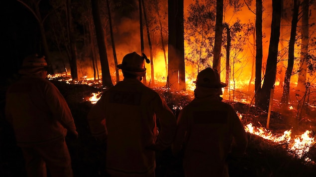 Des pompiers font face à un brasier qui enflamme la forêt, dans la nuit. 