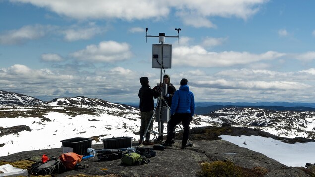 Des scientifiques installent une antenne au sommet d'une montagne.